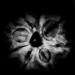 Ganesha Rudraksha 20.60 Mm X-Ray