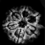 Ganesha Rudraksha 24.75 Mm X-Ray