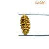 1 Mukhi Rudraksha Nepal Small ( 24.70 Mm )