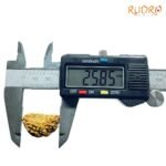 1-Mukhi-Rudraksha-Nepal-Small-25.85-Mm-Op-C.jpg
