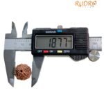 10 Mukhi Indonesian Rudraksha (18.77 Mm)