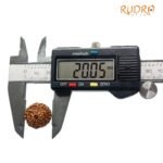 10 Mukhi Indonesian Rudraksha (20.05 Mm)