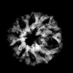 10 Mukhi Indonesian Rudraksha (18.95Mm)