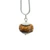 9 Mukhi Rudraksha Indonesian Silver Capping With Silver Chain - 18.65 Mm 18 12 Mukhi Rudraksha Silver Capping With Silver Chain