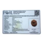 12 Mukhi Indonesian Rudraksha (17.55 Mm)