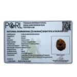 12 Mukhi Indonesian Rudraksha (17.65 Mm) 13 12 Mukhi Indonesian Rudraksha (17.65 Mm)