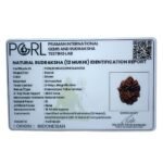 12 Mukhi Indonesian Rudraksha (18.50 Mm) 13 12 Mukhi Indonesian Rudraksha (18.50 Mm)