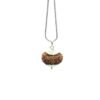 15 Mukhi Nepal Rudraksha Silver Capped With Silver Chain ( 27.90 Mm ) 16 15 Mukhi Nepal Rudraksha Silver Capped With Silver Chain