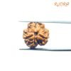 3 Mukhi Rudraksha Nepal ( 18.70 Mm ) 11 3 Mukhi Rudraksha Nepal ( 18.70 Mm )