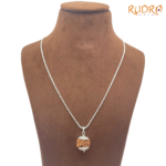 4 Mukhi Silver Capped Rudraksha With Silver Chain (19.70Mm )