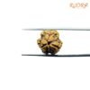 3 Mukhi Rudraksha Nepal ( 17.87 Mm ) 11 3-Mukhi-Rudraksha-Nepal-17.87-Mm-Fp-C.jpg