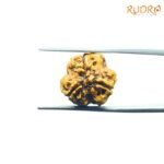 3-Mukhi-Rudraksha-Nepal-18.10-Mm-Bp-C.jpg