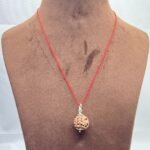 3-Mukhi-Rudraksha-Nepal-18.40-MM-MP-C.jpg