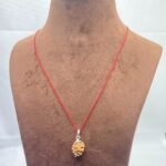 3 Mukhi Rudraksha Nepal / 3 मुखी रुद्राक्ष नेपाल (15.02Mm) 6 3-Mukhi-Rudraksha-Nepal-3-मुखी-रुद्राक्ष-नेपाल-15.02Mm-Lp-C.jpg