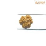 3-Mukhi-Rudraksha-Nepal-3-मुखी-रुद्राक्ष-नेपाल-16.17mm-BP-C.jpg