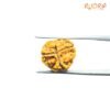 3 Mukhi Rudraksha Nepal / 3 मुखी रुद्राक्ष नेपाल (17.05Mm) 10 3-Mukhi-Rudraksha-Nepal-3-मुखी-रुद्राक्ष-नेपाल-17.05Mm-Rp-C.jpg