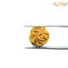 3 Mukhi Rudraksha Nepal / 3 मुखी रुद्राक्ष नेपाल (17.05Mm) 11 3-Mukhi-Rudraksha-Nepal-3-मुखी-रुद्राक्ष-नेपाल-17.05Mm-Rpc.jpg
