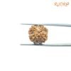 4-Mukhi-Rudraksha-Nepal-17.62-Mm-Fp-C.jpg