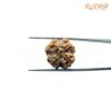 4-Mukhi-Rudraksha-Nepal-19.75-Mm-Rp-C.jpg