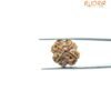 4-Mukhi-Rudraksha-Nepal-20.35-Mm-Bp-C.jpg