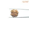 4-Mukhi-Rudraksha-Nepal-21.05-Mm-Bp-C.jpg