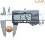 5 Mukhi Rudraksha Nepal - (17.12 mm)