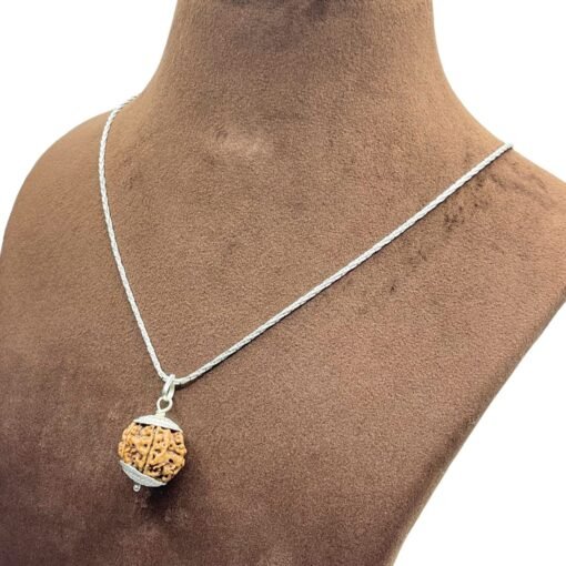 6 Mukhi Nepal Rudraksha Silver Capped With Silver Chain ( 20.67Mm )