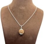 6 Mukhi Nepal Rudraksha Silver Capped With Silver Chain ( 20.67MM )