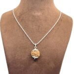 6 Mukhi Nepal Rudraksha Silver Capped With Silver Chain ( 20.67MM )