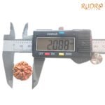 6 Mukhi Rudraksha Nepal (20. )88 Mm) Op C.jpg