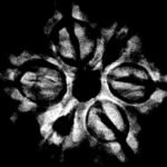 6 Mukhi Rudraksha Nepal (20.42 Mm ) X-Ray