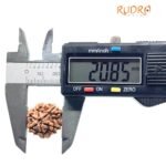 6 Mukhi Rudraksha Nepal (20.85 Mm )