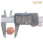 6-Mukhi-Rudraksha-Nepal-21.32-Mm-Op-C.jpg