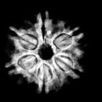6-Mukhi-Rudraksha-Nepal-21.50-Mm-X-Ray.jpg
