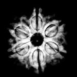6-Mukhi-Rudraksha-Nepal-21.58-Mm-X-Ray.jpg