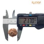 6 Mukhi Rudraksha Nepal (21.70 Mm )