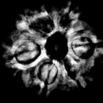7 Mukhi Nepal Rudraksha (23.66 Mm) X-Ray