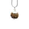 7 Mukhi Nepal With Silver Capping With Silver Chain ( 21.12Mm ) 17 7 Mukhi Nepal With Silver Capping With Silver Chain