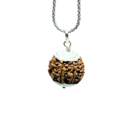 7 Mukhi Nepal With Silver Capping With Silver Chain