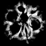 7 Mukhi Rudraksha 21.97 Mm