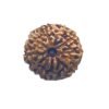 9 Mukhi Indonesian Rudraksha (18.18 Mm) 12 9 Mukhi Indonesian Rudraksha (18.18 Mm)