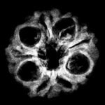 9 Mukhi Indo 18.77 Mm X-Ray