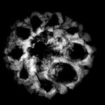 9 Mukhi Indo 19.31 Mm X-Ray