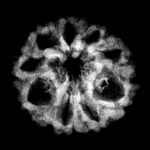 9 Mukhi Indo 19.53 Mm X-Ray
