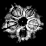 Collector 5 Mukhi Rudraksha Nepal - (23.13 MM) - (Rudrapuja)