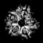 Collector 5 Mukhi Rudraksha Nepal - (23.88 MM )