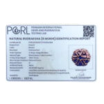 Collector 6 Mukhi Nepal Rudraksha - (23.28 MM ) - (Rudrapuja)