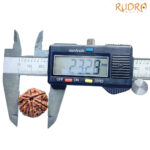Collector 6 Mukhi Nepal Rudraksha - (23.28 MM ) - (Rudrapuja)
