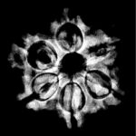 Collector 6 Mukhi Nepal Rudraksha - (24.00 MM )