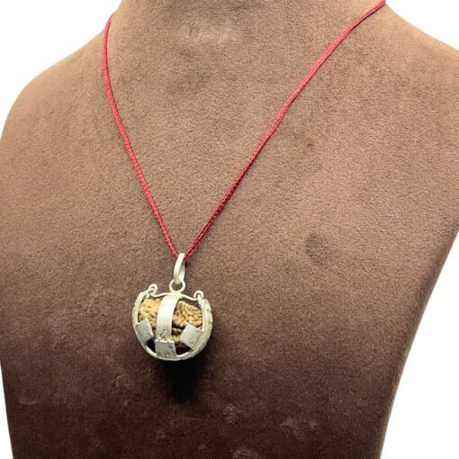 Ek Mukhi Rudraksha With Silver Capping (26.90 Mm)